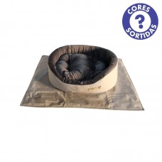 12598 - CAMA QUEEN SUPER PREMIUM C TAPETE P